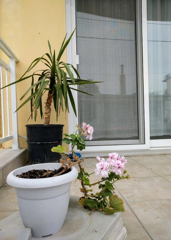 Dimitris Luxury Apartment เกราโมตี ภายนอก รูปภาพ